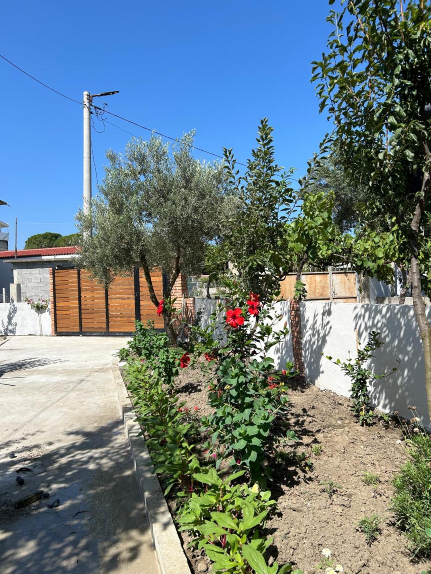 Vlorë Vila Roan מראה חיצוני תמונה