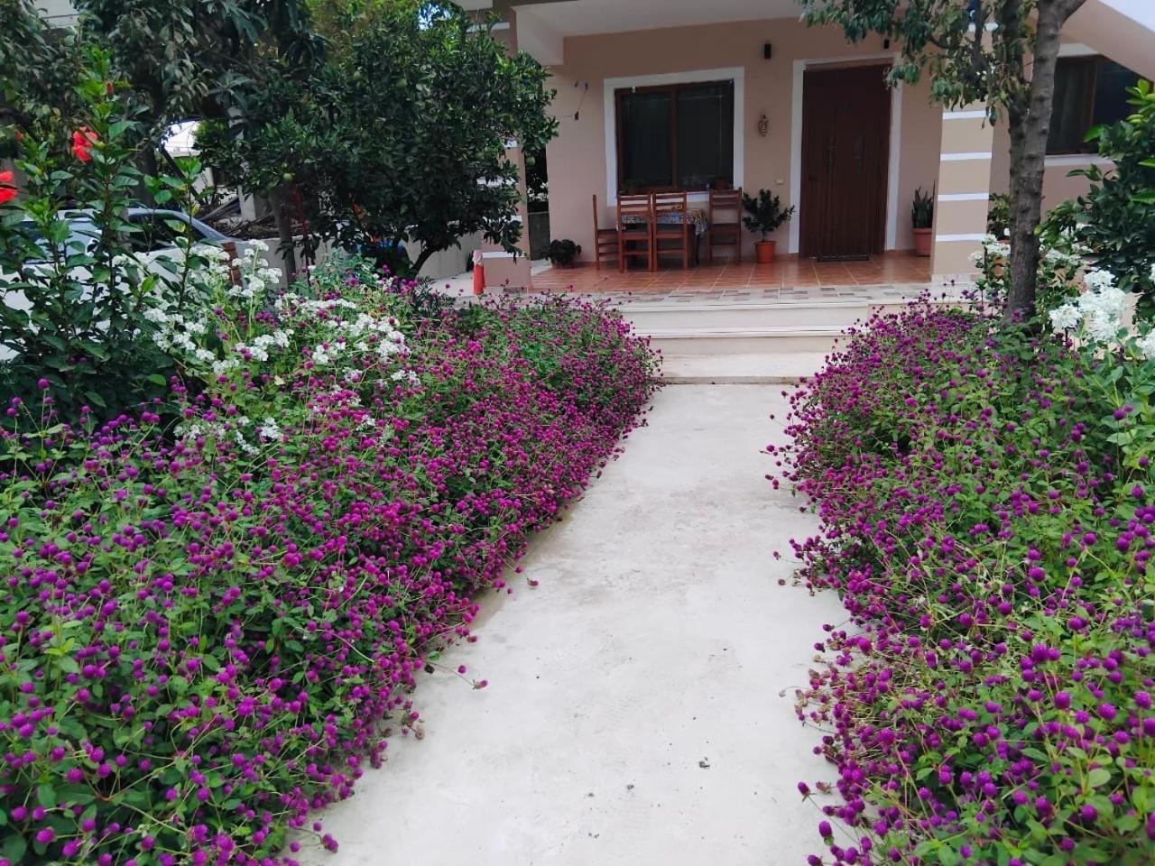 Vlorë Vila Roan מראה חיצוני תמונה